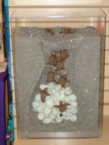 04-003E