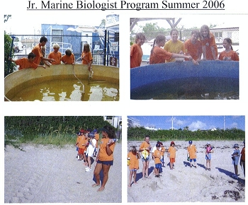 06-006E